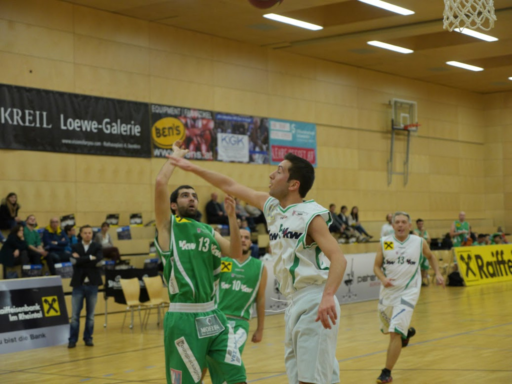 Basketball Lions.jpg