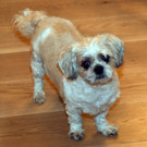 06032015_MA_68_Lichtbildstelle _1_.JPG