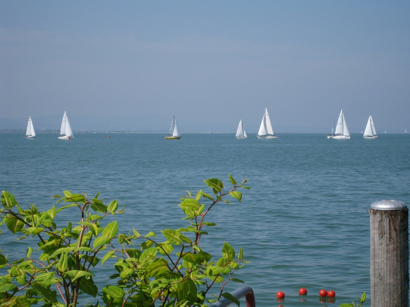 Hafen Lochau Ansichten _1__jpg-1274043166