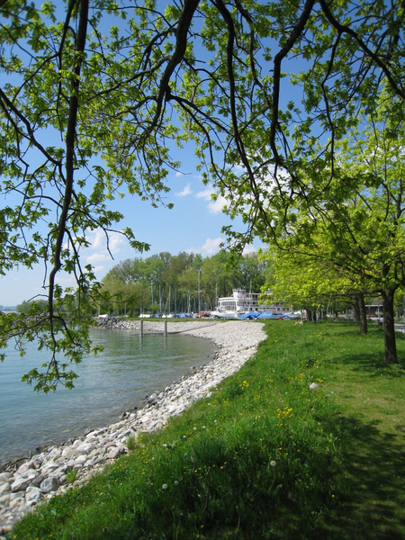 Hafen Lochau Ansichten _14__jpg-1274043306