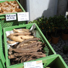 IMG_8182.JPG