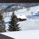 KOE_Pfadihuette Furx 4.jpg
