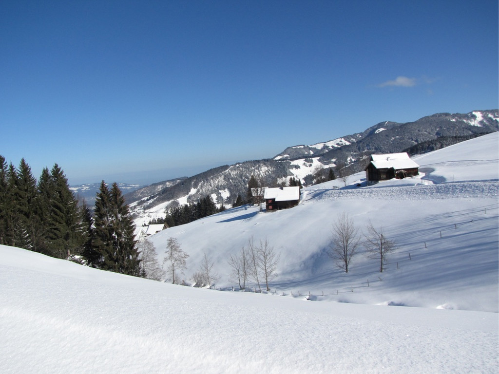 KOE_Pfadihuette Furx 8.jpg