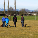 Dutzende Herrchen voll auf den Hund gekommen