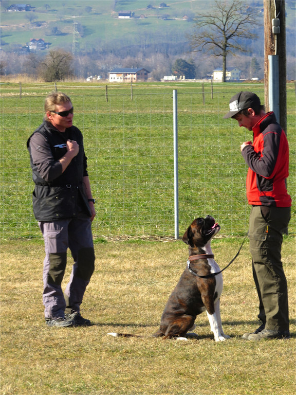 BK_Hundeerziehungskurs Nofels 19.jpg
