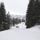 Vereinsmeisterschaft Alpin 2015