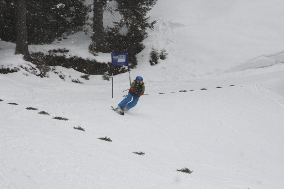 _MG_0436.jpg