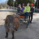Frühlingserwachen am Alten Rhein