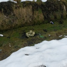 stehender __belriechender Kanal.jpg