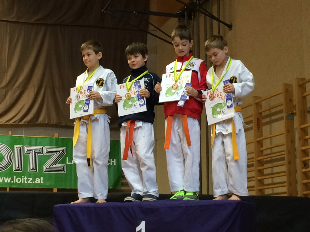 Lions Cup 2015-1.jpg