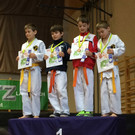 Lions Cup 2015-1.jpg