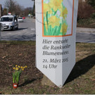 Entstehung einer Blumenwiese