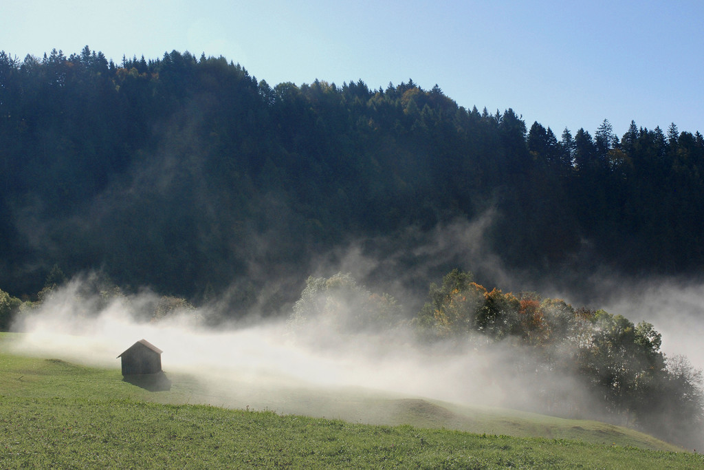Morgennebel am Berg klein #1.jpg