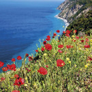 Elba_03.jpg