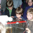 100_9669_jpg-1274079126