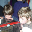 100_9671_jpg-1274079135