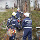 DSCN0204_Bildgr____e __ndern.jpg