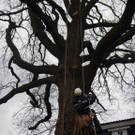 DSCN0206_Bildgr____e __ndern.jpg