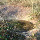 KOE_Naturschutzaktion Rheticus-Biotop 21.jpg