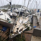 Zyklon Pam verwüstet Inselstaat Vanuatu 