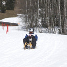 _MG_1236.jpg