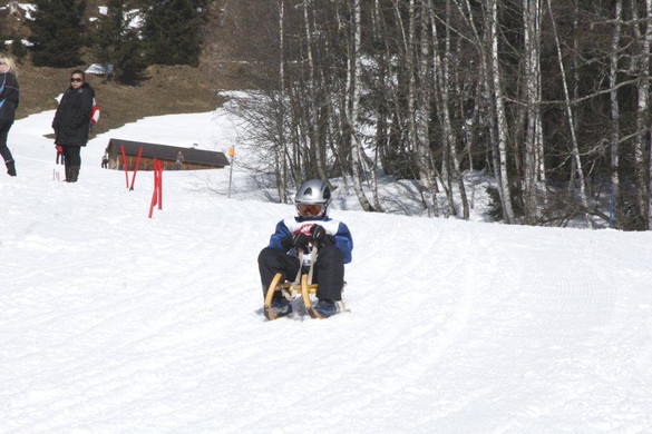 _MG_1236.jpg