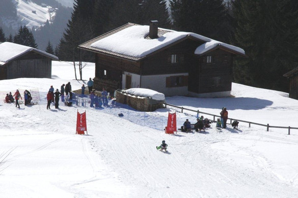 _MG_1289.jpg