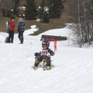 _MG_1324.jpg