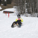 _MG_1329.jpg