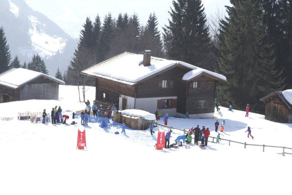 _MG_1425.jpg