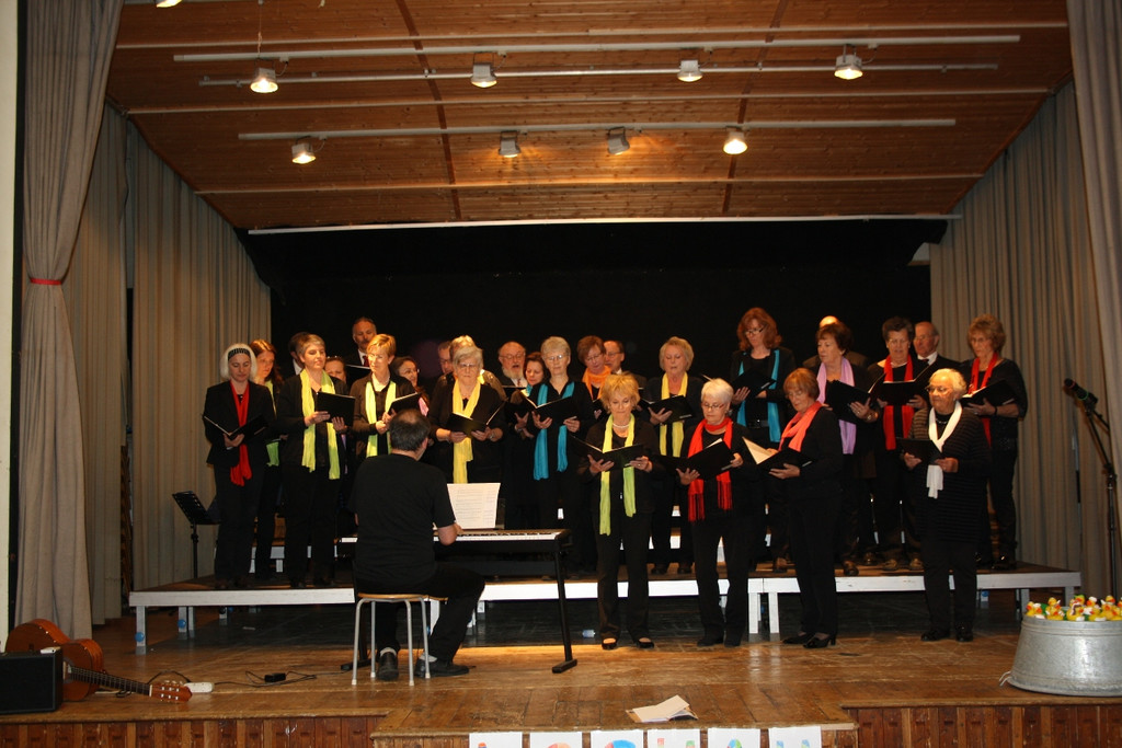 Gemeinschaftskonzert MUSISCH 2014 _11_.JPG