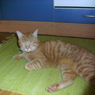 BILD0583_JPG-1274093396