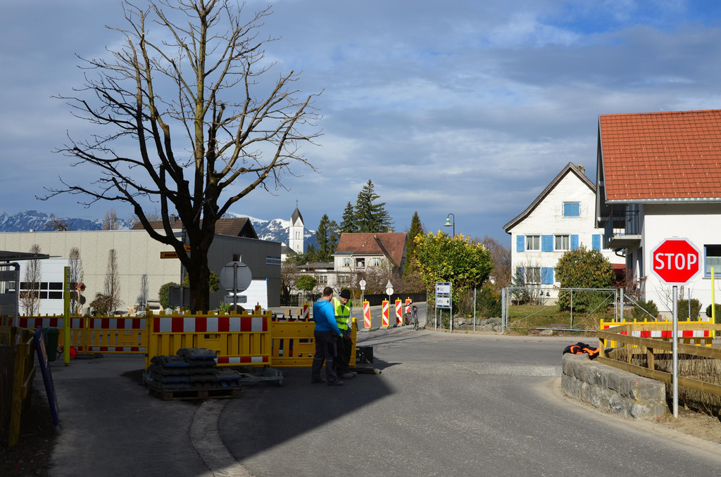 DSC_0015.JPG