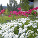 _DSC01110011_JPG-1274095838