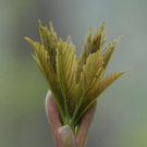 _DSC01410014_JPG-1274095891