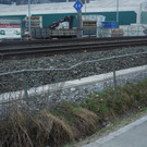 M__rz 17 001.JPG