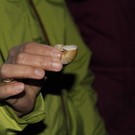 IMG_8600.JPG