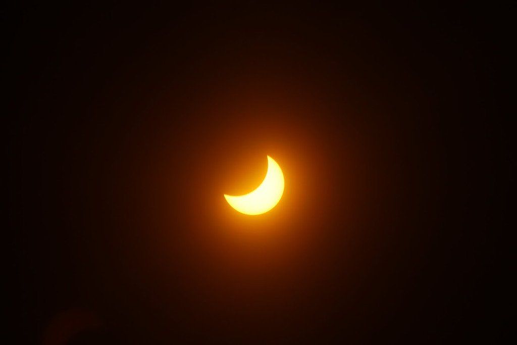 IMG_3693.JPG