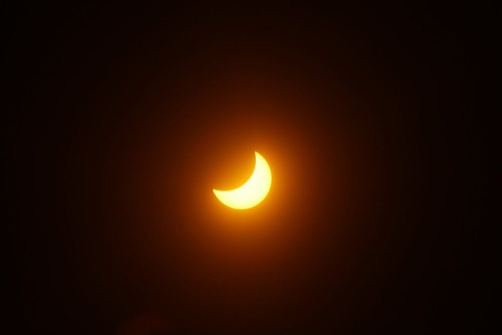 IMG_3692.JPG