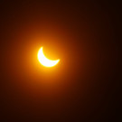 IMG_3674 _1_.JPG