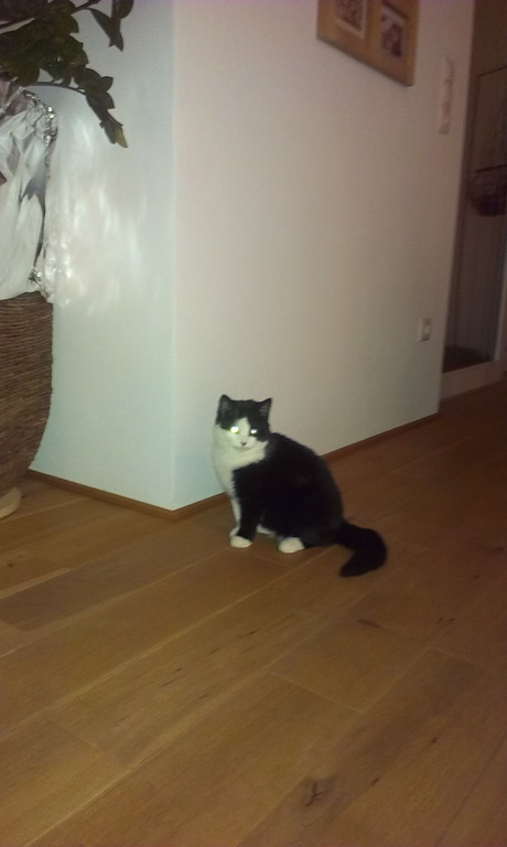 Bilder Handy 001.jpg