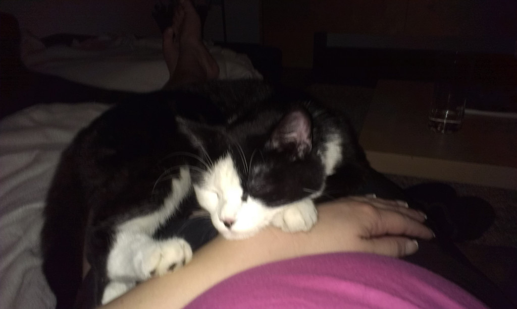 Bilder Handy 001 _2_.jpg