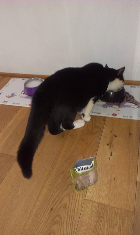 Bilder Handy 001 _6_.jpg