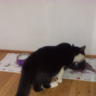 Bilder Handy 001 _6_.jpg