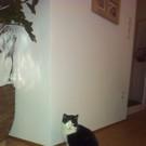 Bilder Handy 001.jpg