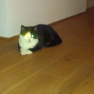 Bilder Handy 003.jpg