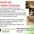 Flyer-Ben.jpg
