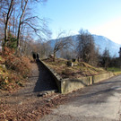 KOE_News Wildpark 2015-03 3.jpg