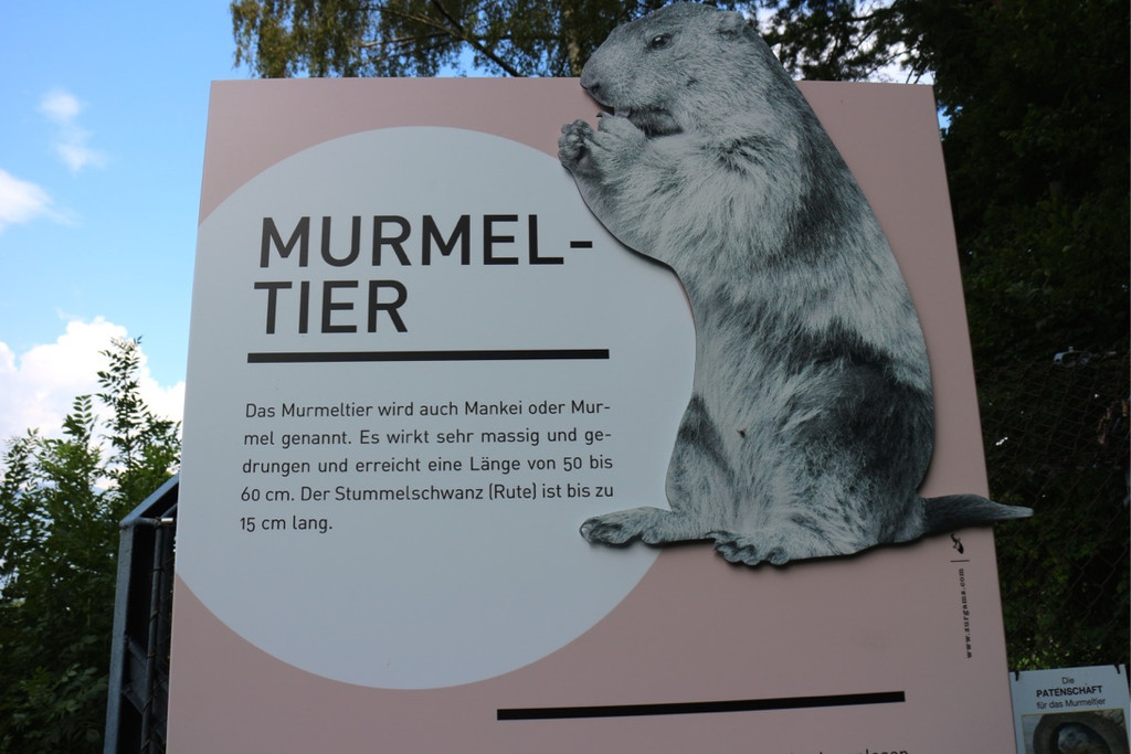 KOE_News Wildpark 2015-03 12.jpg