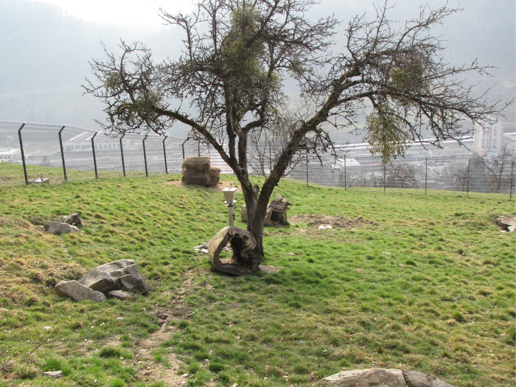 KOE_News Wildpark 2015-03 19.jpg